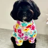 Autumn Flowers Dog Skivvie (Limited Edition)