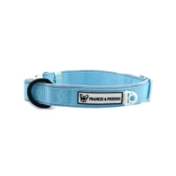 Baby Blue - Collar - End Of Line