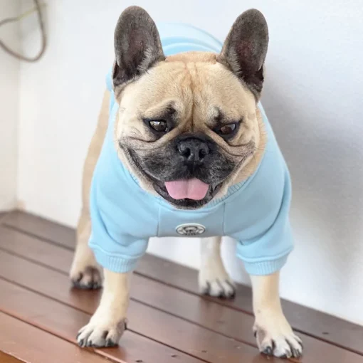 Blue Boy Dog Skivvie