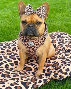 Born to be Wild - Adjustable Harness