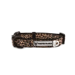 Born To Be Wild - Collar