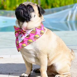 Burgered Bandana