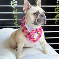 Burgered Bandana
