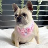 Candy Candy & Lace Bandana