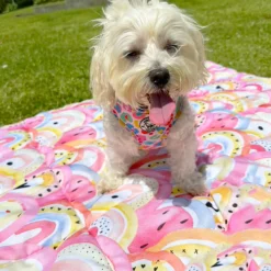 Chasing Rainbows - Adventure Mat