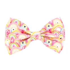 Chasing Rainbows - Bow Tie