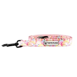Chasing Rainbows - Dog Lead