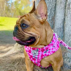 Cherry Delight - Adjustable Harness