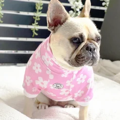 Daisy Blush Dog Skivvie (Limited Edition)