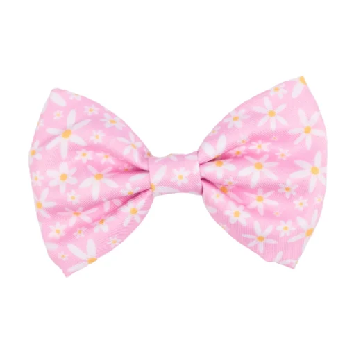 Daisy Chain - Bow Tie