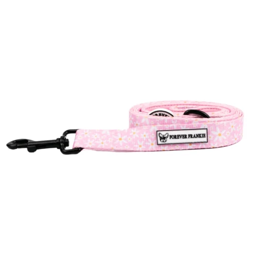 Daisy Chain - Dog Lead