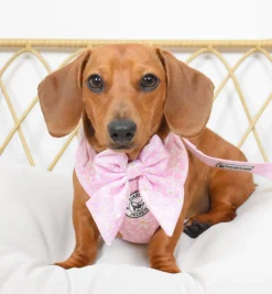 Daisy Chain - Sailor Bow Tie