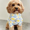 Daisy Sky Dog Skivvie (Limited Edition)