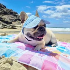 Dog Cap - Blue