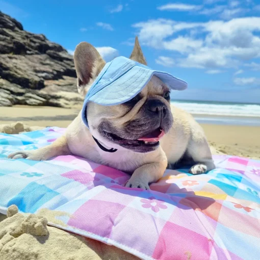 Dog Cap - Blue