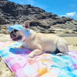 Dog Cap - Blue