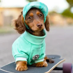Dog Cap - Mint Stonewash