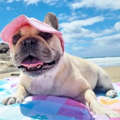 Dog Cap - Pink