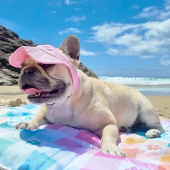 Dog Cap - Pink