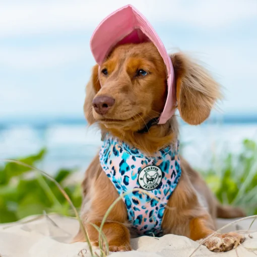 Dog Cap - Pink