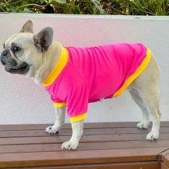 Fluoro Pink & Yellow - Specialised Ribbed Sun & Sand Rashie UV 50+