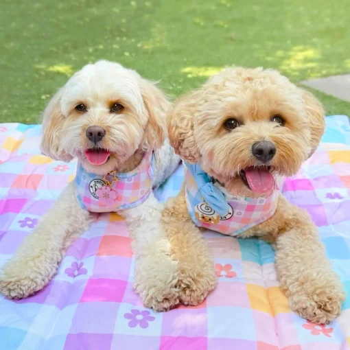 Gingham Wonderland - Adventure Mat