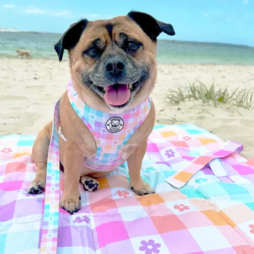 Gingham Wonderland - Adventure Mat