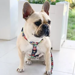 Graffiti - Strap Harness - End Of Line