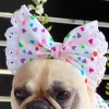 Heartbeat Fiesta - Head Bow (Limited Edition)