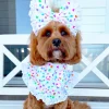 Heartbeat Fiesta Bandana