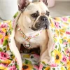 Heavenly Sunflower - Extra Soft Pet Blanket