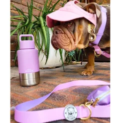 Lavender Portable Human / Dog Stainless Steel Adventure Drink Bottles