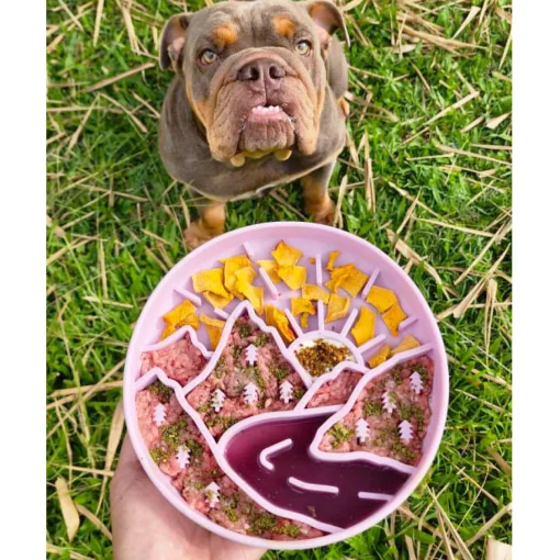 Luxe Mulberry Mountain Light - Slow Feed Bowl