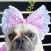 Luxe Pink Gingham - Head Bow (Limited Edition)