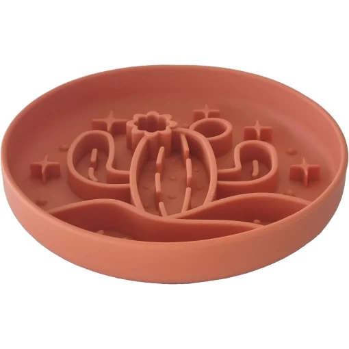 Luxe Terracotta Cactus - Slow Feed Bowl