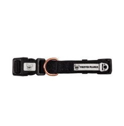 Midnight Black - Collar - End of Line