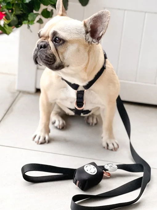 Midnight Black - Strap Harness - End Of Line