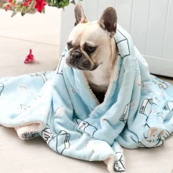 Milk Carton - Extra Soft Pet Blanket