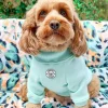 Mint Dog Skivvie
