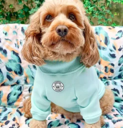 Mint Dog Skivvie