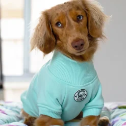 Mint Dog Skivvie