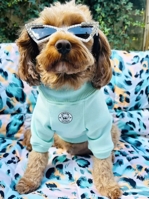 Mint Dog Skivvie