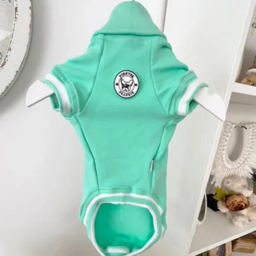 Mint Green with striped ribbing Dog Skivvie
