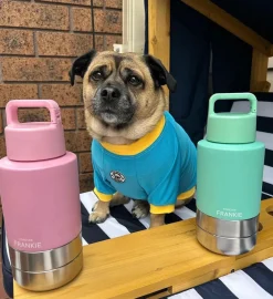 Mint Portable Human / Dog Stainless Steel Adventure Drink Bottles