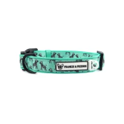 Mint Zebra - Collar - End Of Line