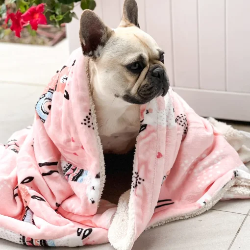No Drama Llama - Extra Soft Pet Blanket