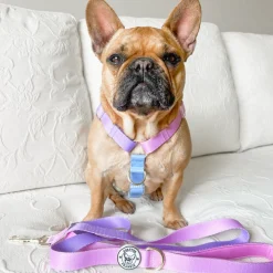 Pastel Pink / Lavender - Luxe Dog Lead