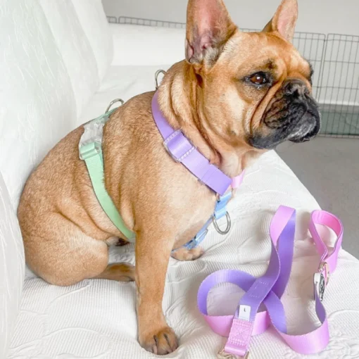Pastel Pink / Lavender - Luxe Dog Lead