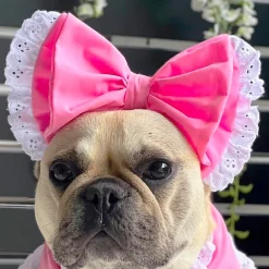 Pastel Pink with lace trim- Head Bow (Limited Edition)