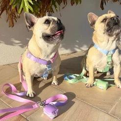 Pastel Rainbow - Luxe Strap Harness